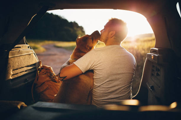 hombre y perro - dog car travel pets fotografías e imágenes de stock