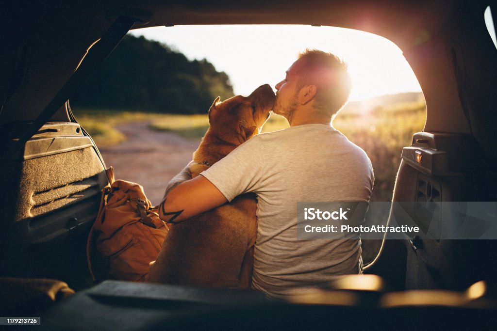Man and dog Dog Stock Photo