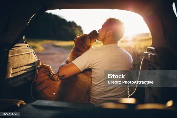 Man And Dog Stock Photo - Download Image Now - Dog, Car, Men