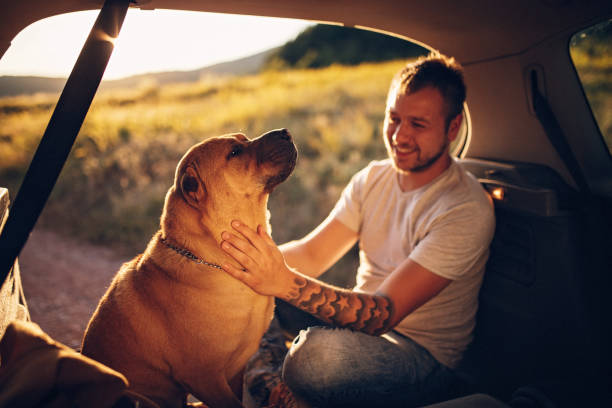 istock We are travelers 1179214288