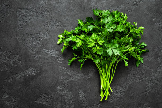 fresh parsley bunch, top view - parsley imagens e fotografias de stock