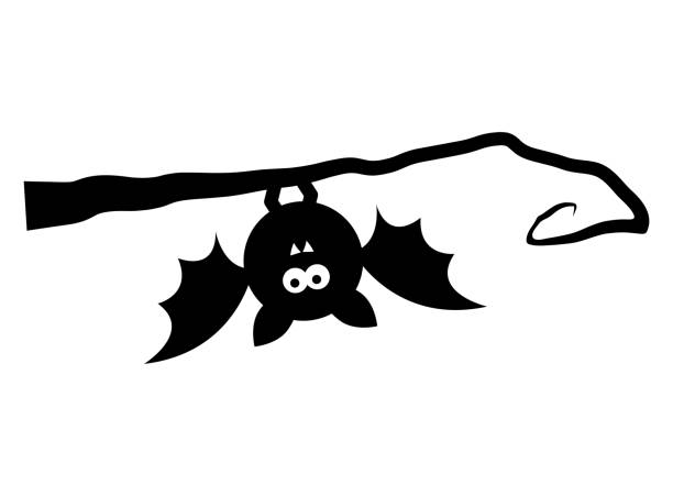 Bat Upside Down On Tree Isolated On White Background Stock Illustration -  Download Image Now - iStock