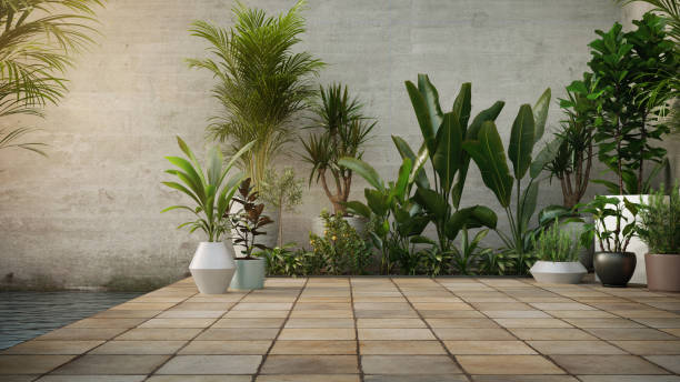 istock Plants in pots over concrete wall and stone flooring tile background. 1179225956
