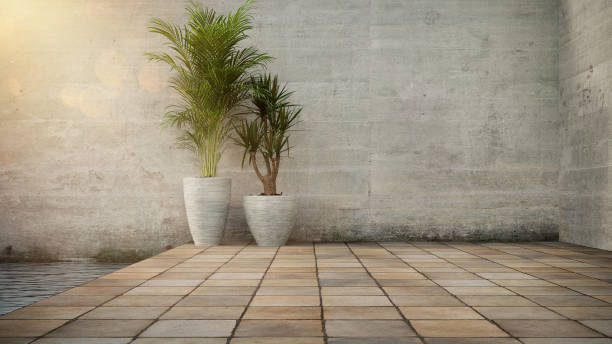istock Plant in pot over concrete wall and stone flooring tile background. 1179227387