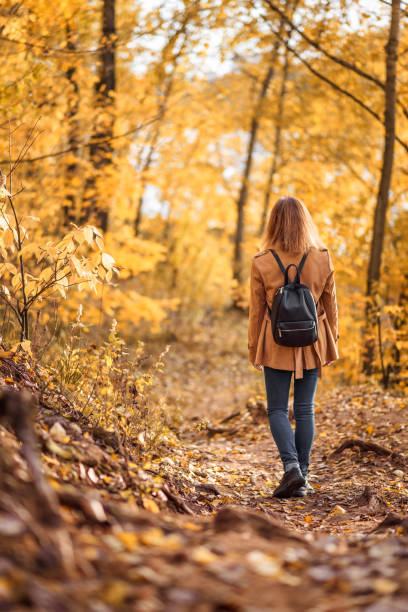 istock Woman in autumn park, back view 1179234310