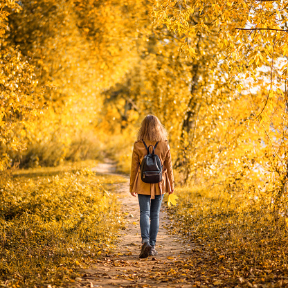 Woman in autumn park, back view. Adult girl walking away alone on path in autumn forest. Lonely young woman with backpack in beige autumn jacket. Beautiful fall nature. Autumn season concept.