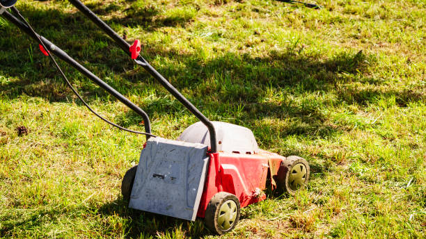 istock Gardening. Mowing lawn with lawnmower 1179235319