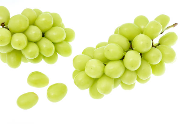 istock Shine muscat on white background 1179245324