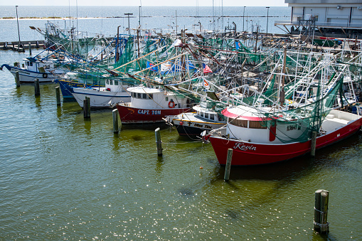 Commercial fishing vessels docked in Biloxi, Mississippi, on the Gulf of Mexico. The industry catches all species of popular guklf fish including Grouper, Tuna, Red Snapper, Mackerel, and many others as well as crabs and shrimp.\nBiloxi, Mississippi\nSeptember 28, 2019