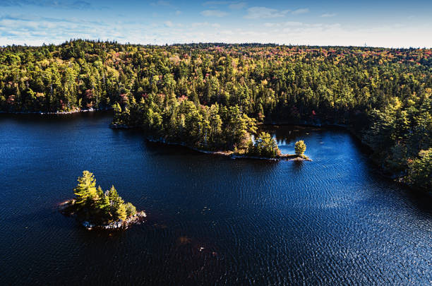 istock Island in Lake 1179247589