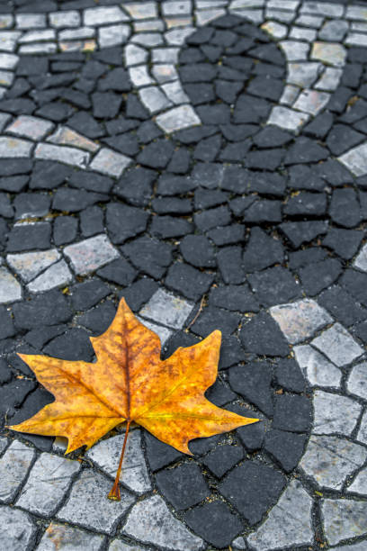 istock Autumn in Lisbon 1179248485