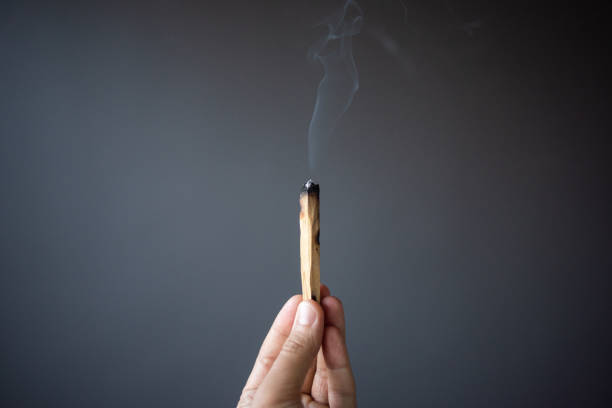 istock Holding burnt Palo Santo in his hand 1179251714