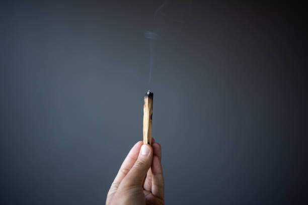istock Holding burnt Palo Santo in his hand 1179252725