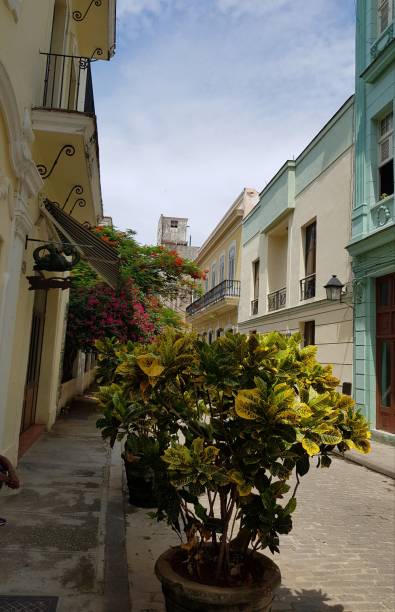 istock Old Havana (Habana vieja) Cuba 1179254915