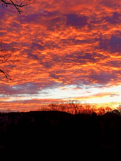 istock Lake sunrise in Arkansas 1179257709