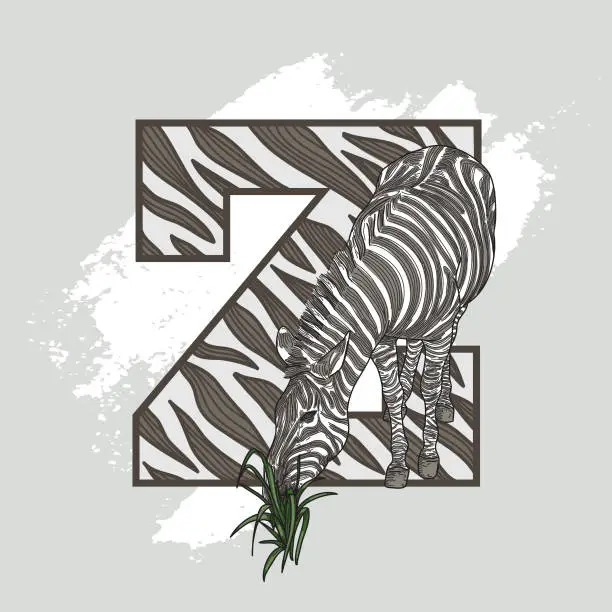 Vector illustration of Animal Alphabet Drop Cap Letter - Z