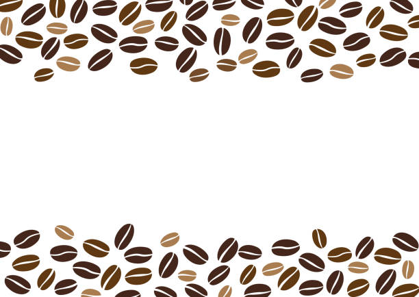 ilustraciones, imágenes clip art, dibujos animados e iconos de stock de granos de café aislados sobre fondo blanco. fondo con espacio para escribir texto. ilustración vectorial - coffee cup coffee coffee crop coffee bean