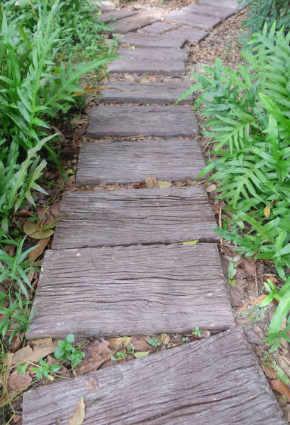 istock Walkways and trees in the garden 1179282400