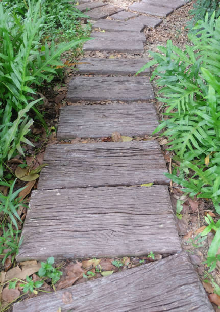 istock Walkways and trees in the garden 1179282405