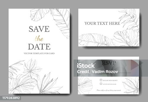 istock Vector Green leaf plant. Engraved ink art. Palm beach tree leaves. Wedding background card floral decorative border. 1179283892