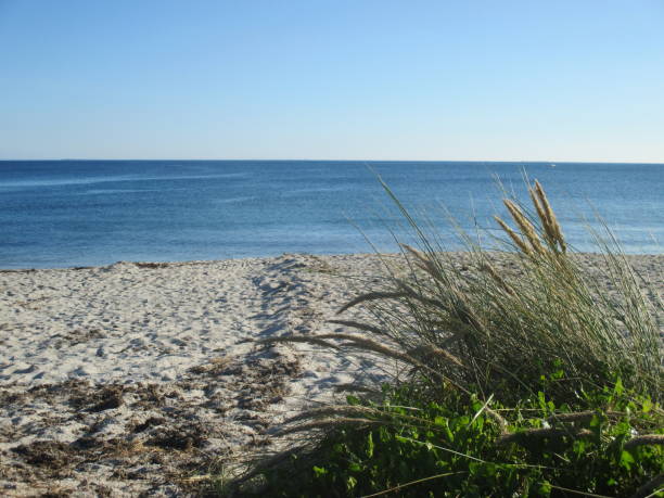 istock Dune  Beach  Skyline  Calm Sea  Unclouded Sky 1179283946