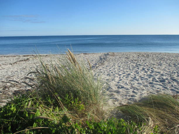 istock Dune  Beach  Skyline  Calm Sea  Unclouded Sky 1179283962