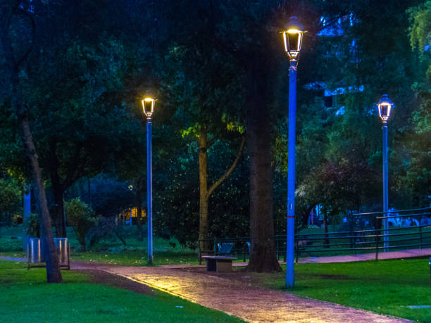 istock Lights and walkway in public park at night 1179284944