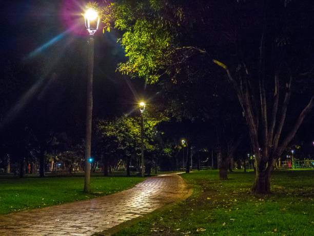 istock Lights and walkway in public park at night 1179284964