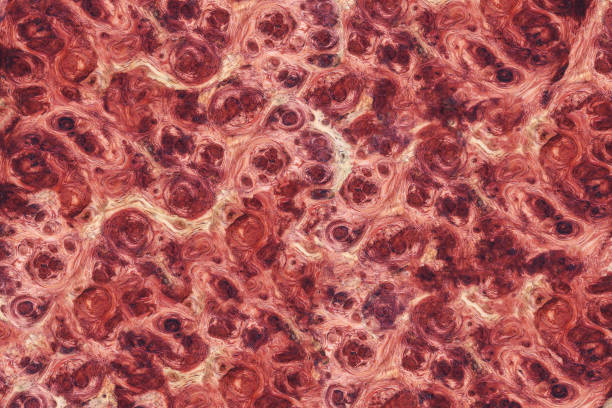 istock Amboyna wood burl striped grain pattern exotic for interior decoration car 1179285054