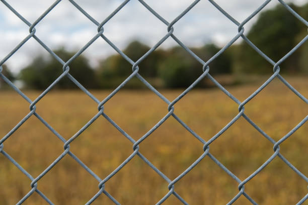 Chain-link fencing with blurred background