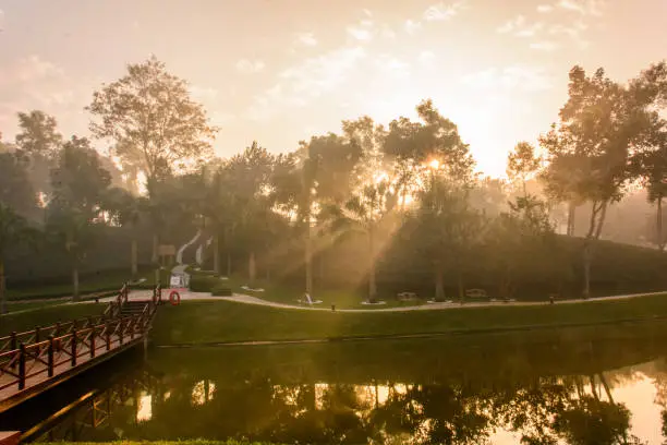 Photo of Beautiful Sun Rays