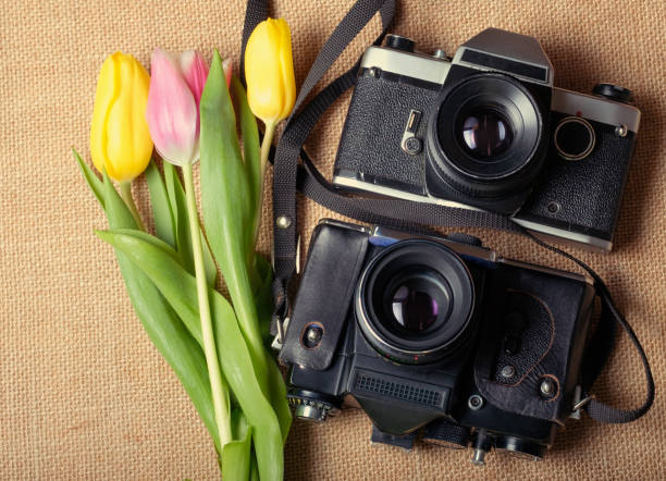 istock tulips and two cameras on the cloth 1179296438