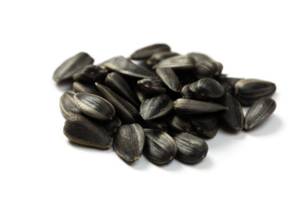 istock Organic Sunflower seeds isolated on white background 1179302121