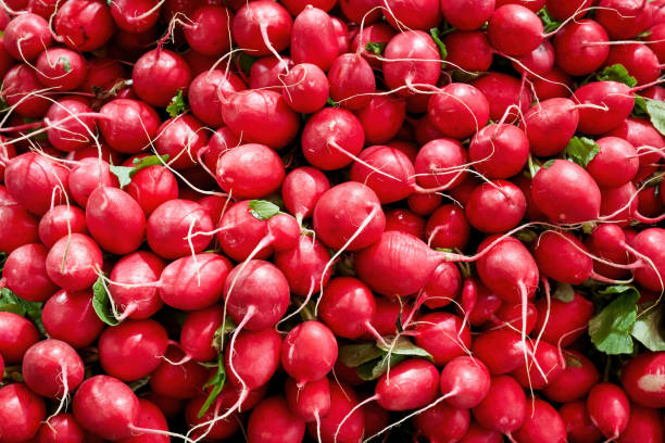 istock Heap of small red radish 1179302358