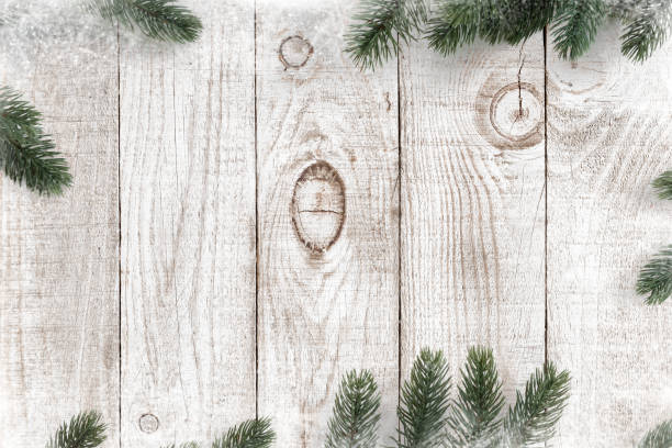 hojas de pino decoradas como marco sobre un fondo de madera blanca - perennifolio fotografías e imágenes de stock