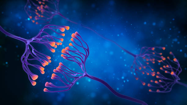 istock Synapse and Neuron cells sending electrical chemical signals. Digital synapse illustration on blue background. 1179305197
