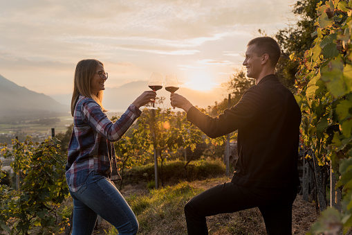 Couple clinking red wine glass in a Vineyard during sunset