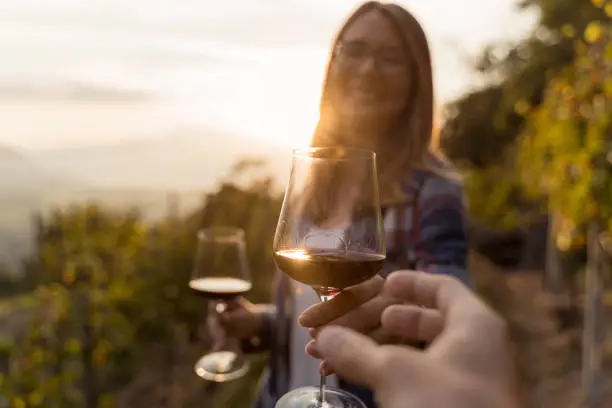 POV view of a woman who offers a glass of red wine to her friend in a vineyard during sunset