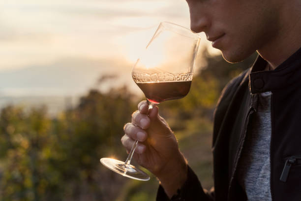 nahaufnahme eines jungen mannes, der rotwein in einem weinberg während des sonnenuntergangs probiert - tasting stock-fotos und bilder