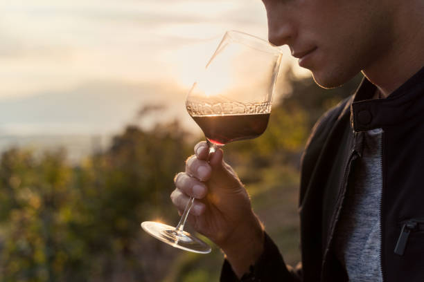 fin vers le haut d'un jeune homme goûtant le vin rouge dans un vignoble pendant le coucher du soleil - oenologie photos et images de collection