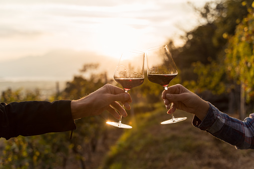 Dos manos que encende la copa de vino tinto en un viñedo durante la puesta del sol photo