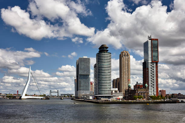 istock Erasmus bridge Rotterdam, The Netherlands 1179307320