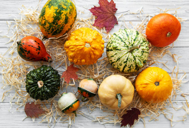 istock Pumpkins on a wooden table 1179310402