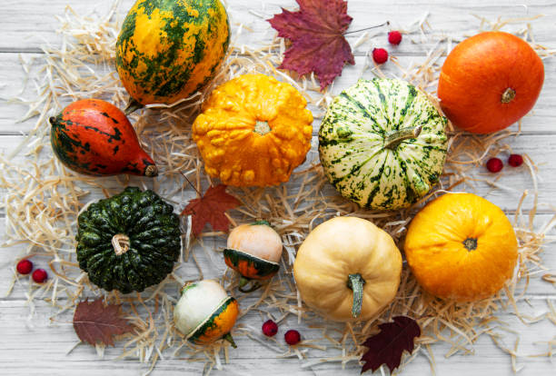 istock Pumpkins on a wooden table 1179310404