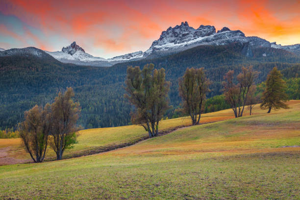 spektakuläre herbstlandschaft in dolomiten bei cortina d ampezzo, italien - larch tree stone landscape sky stock-fotos und bilder