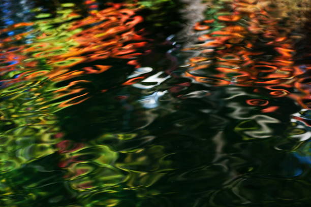 Early Autumn. Trees reflection at the pond.
