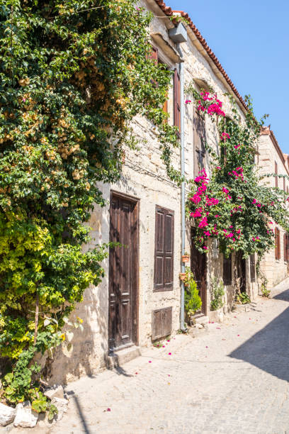 istock Stone houses covered with bougainvillaea, 1179316752