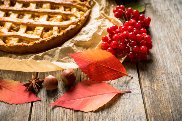 istock Freshly baked autumn apple pie with cinnamon 1179319287