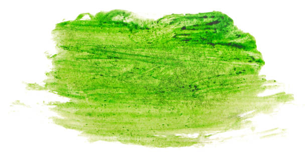istock watercolor green spot with texture 1179319682
