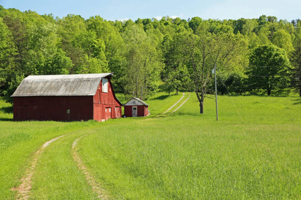 istock Idyllic country landscape 1179323492